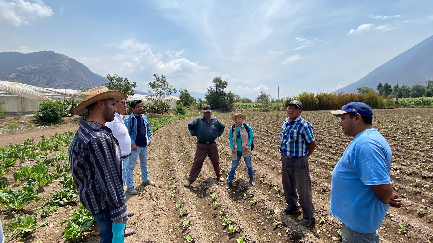 13-06-2024: Vinculación entre el Tecnológico de Zongolica y Productores de Hortalizas en Maltrata