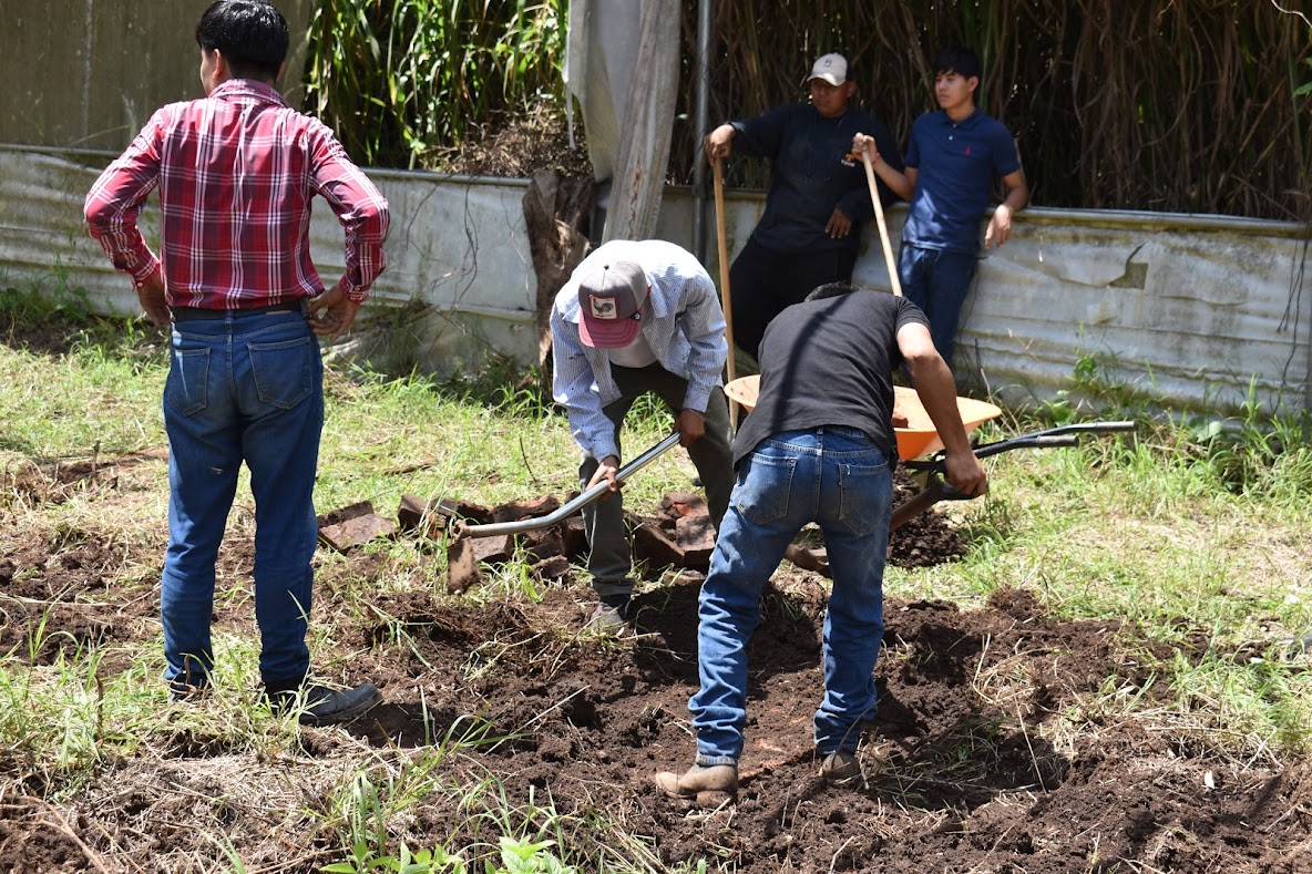 04-09-2024 Limpieza del vivero para plantación de 𝐽𝑎𝑡𝑟𝑜𝑝ℎ𝑎 𝑐𝑢𝑟𝑐𝑎𝑠