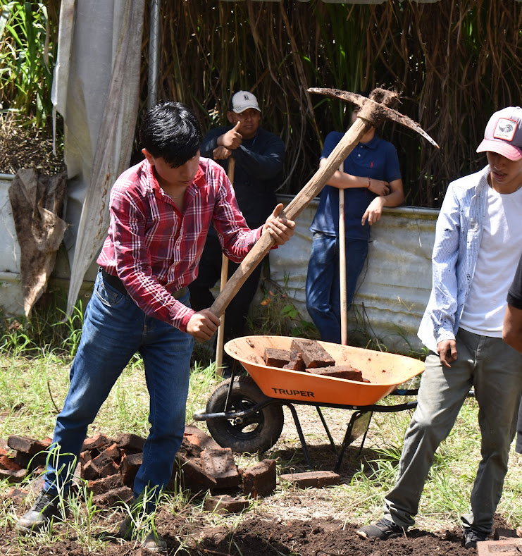 Limpieza en el Vivero