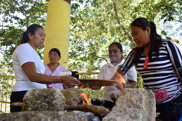 24-02-2017 Muestra Gastronómica de Quelites en Coapapinopa, Zongolica, Ver.