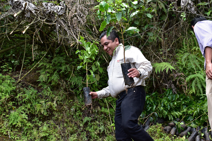 Recibe el Tecnológico de Zongolica a investigador francés