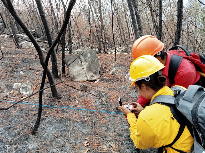 28-05-2024: Recolección de semillas del proyecto: “Banco de semillas nativas para acciones de restauración en zonas incendiadas de la región Altas Montañas de Veracruz”