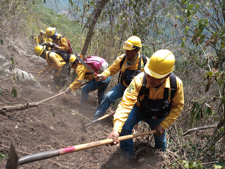 30-05-2024: Control Exitoso de Incendio Forestal en Rafael Delgado