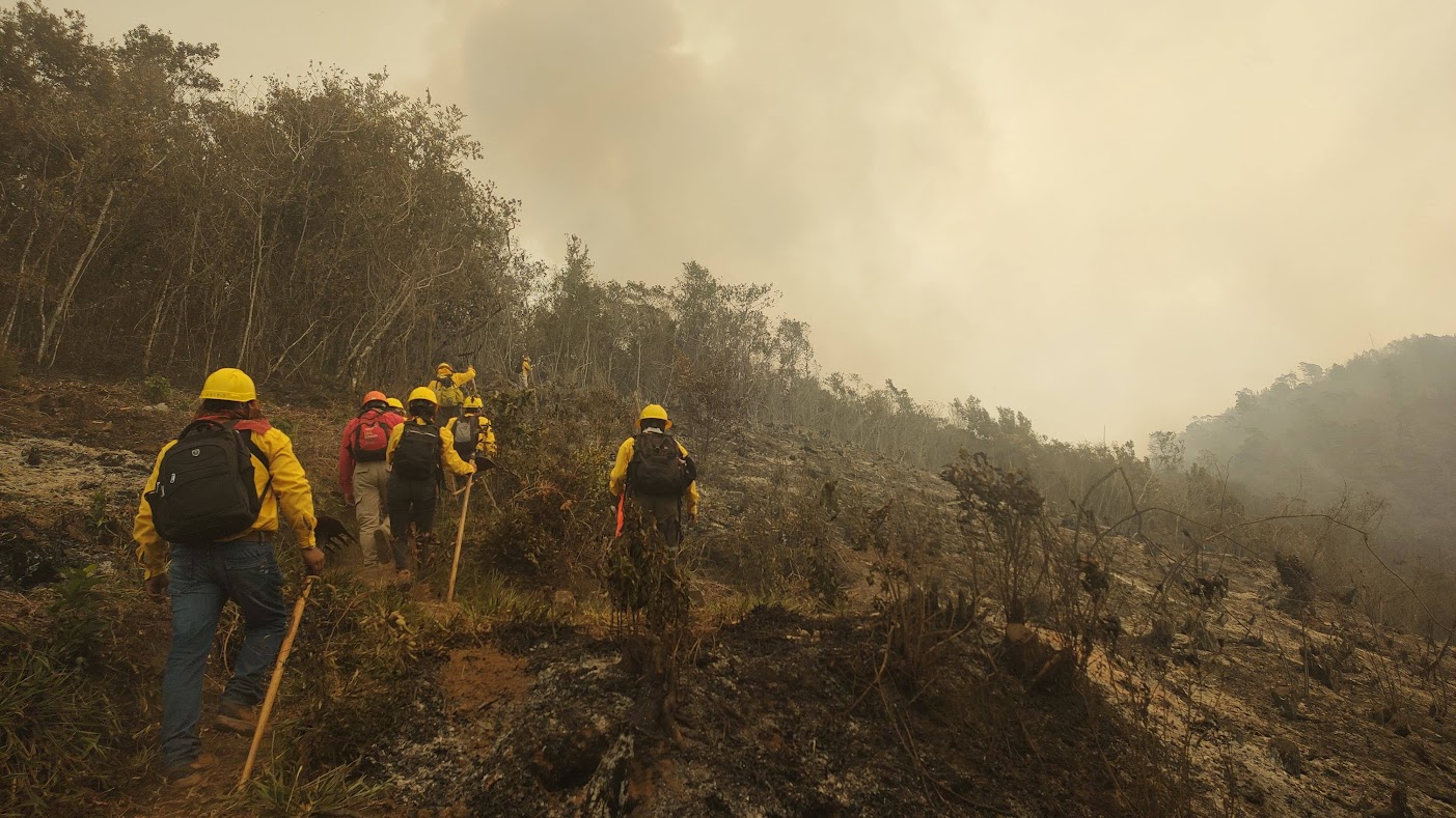 03-06-2024: Brigada Forestan en Tlilapan