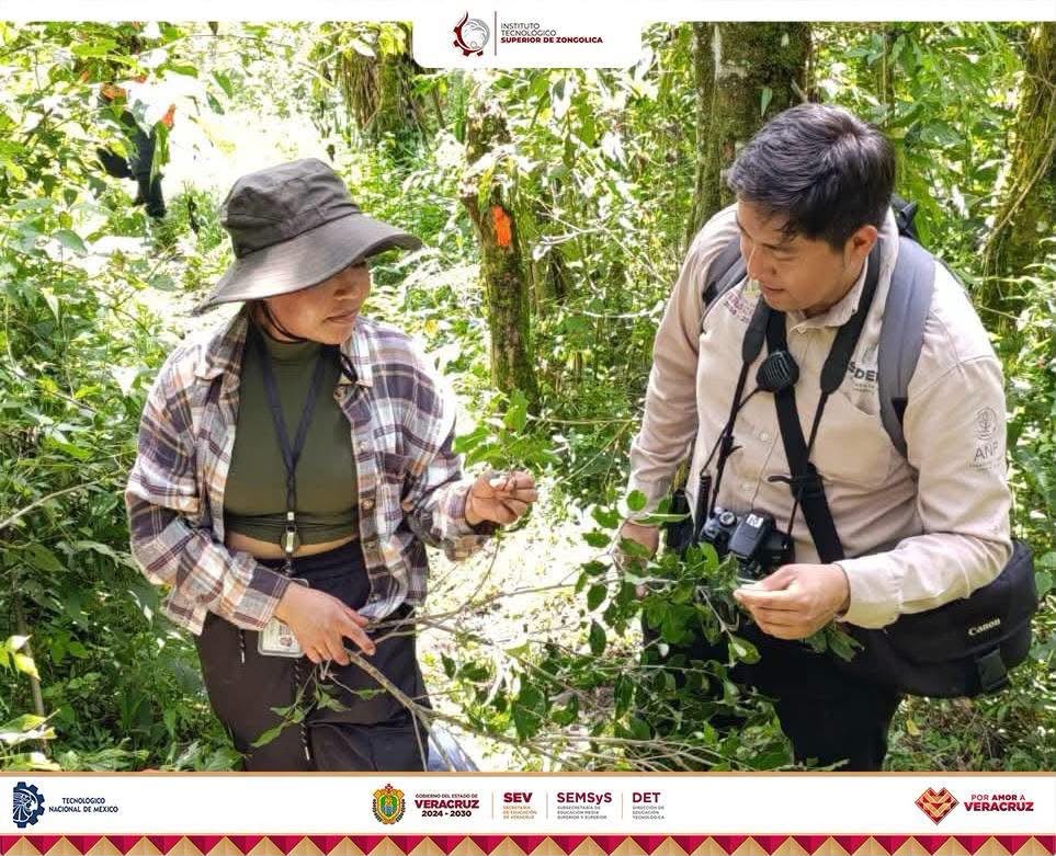 Imagen-Extencion