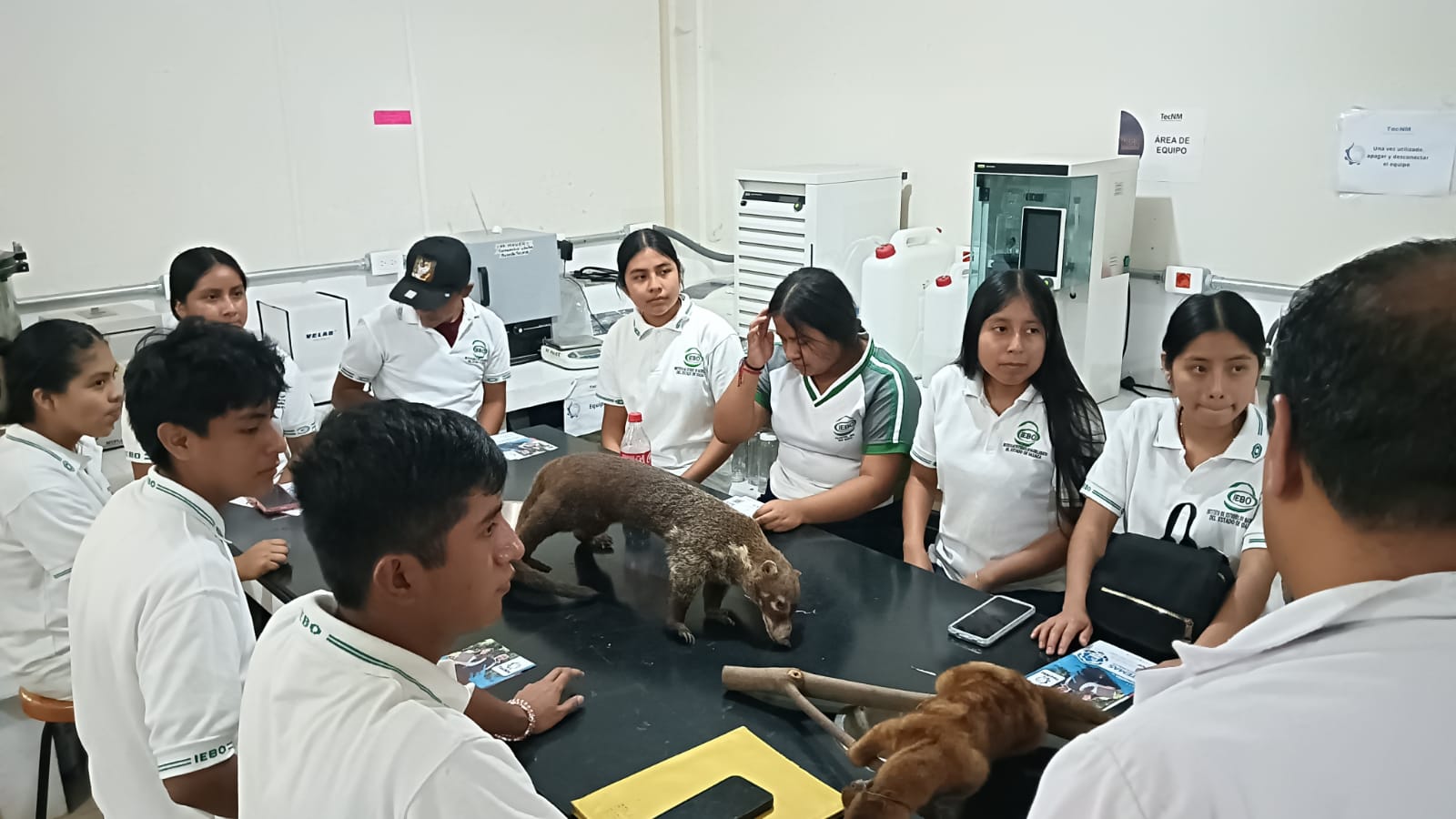 Imagen-Extencion